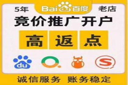 创新广告策略：专业SEM托管的典型案例研究