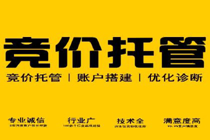 SEM优化师成功案例：助力企业实现品牌升级